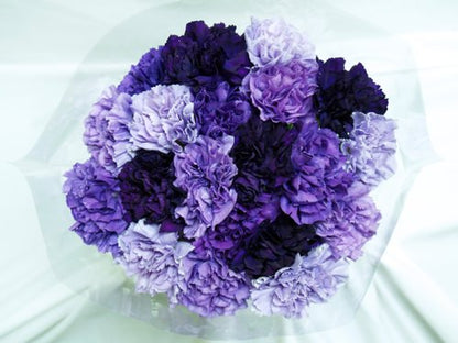 Premium Natural Purple Hybrid Carnations