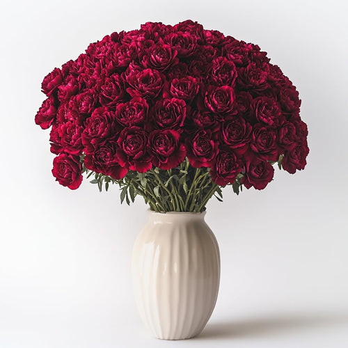 **Premium Farm-Fresh Burgundy Carnations Bulk**